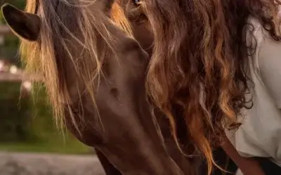Wat doet een paardencoach