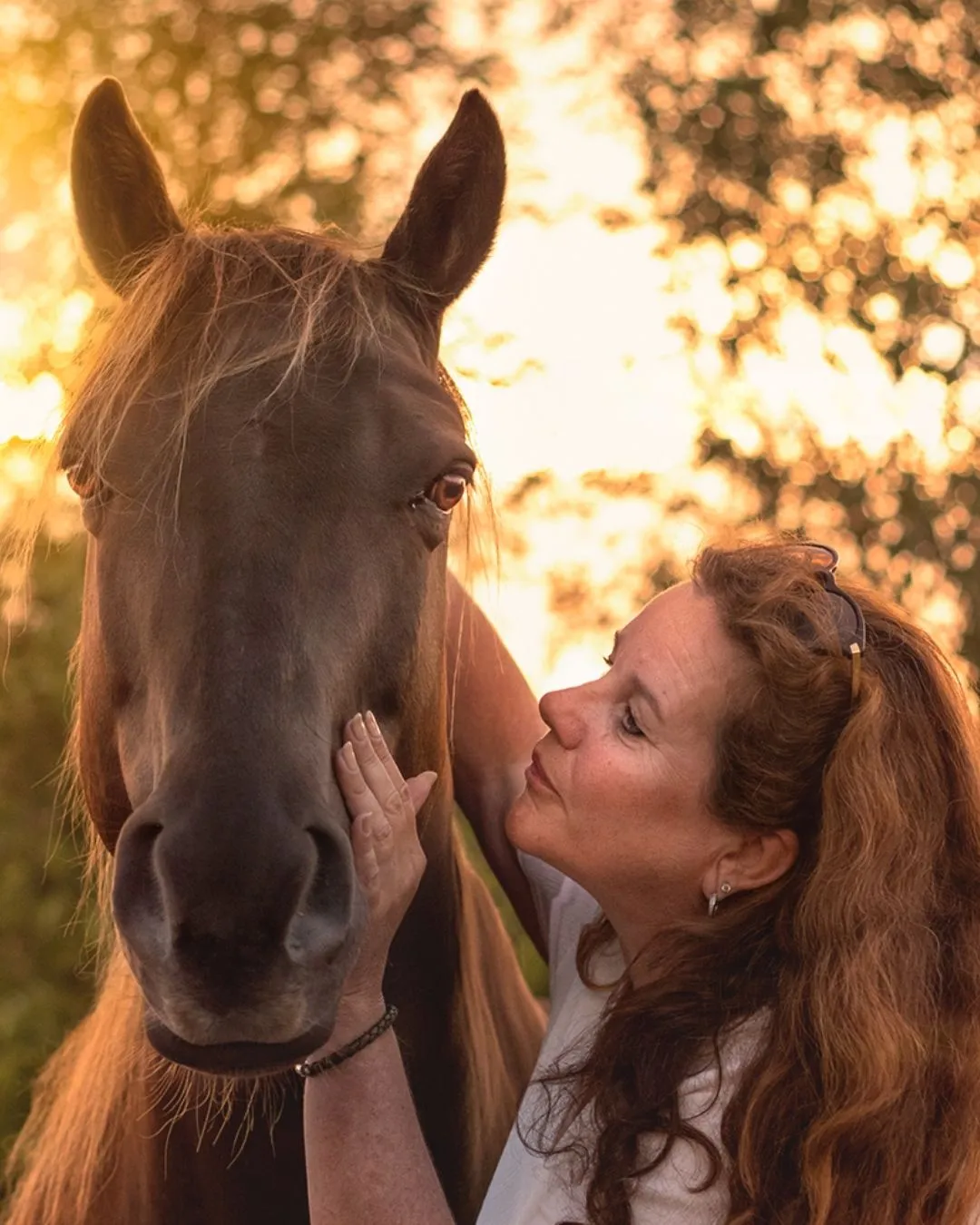 Traumacoach Almere, Paardencoach Hilversum, Huizen, Blaricum, Laren, Eemnes, Almere, Paardencoaching bij stress, Trauma sensitief schrijven, traumaverwerking, paardencoaching Almere, trauma verwerken, stress, rust, overprikkeld brein, terug naar jezelf, overprikkeld zenuwstelsel, inzicht, grenzen stellen, zelfliefde, handreiking, praktische oplossingen, mindfulness, schrijven, praktische tools.