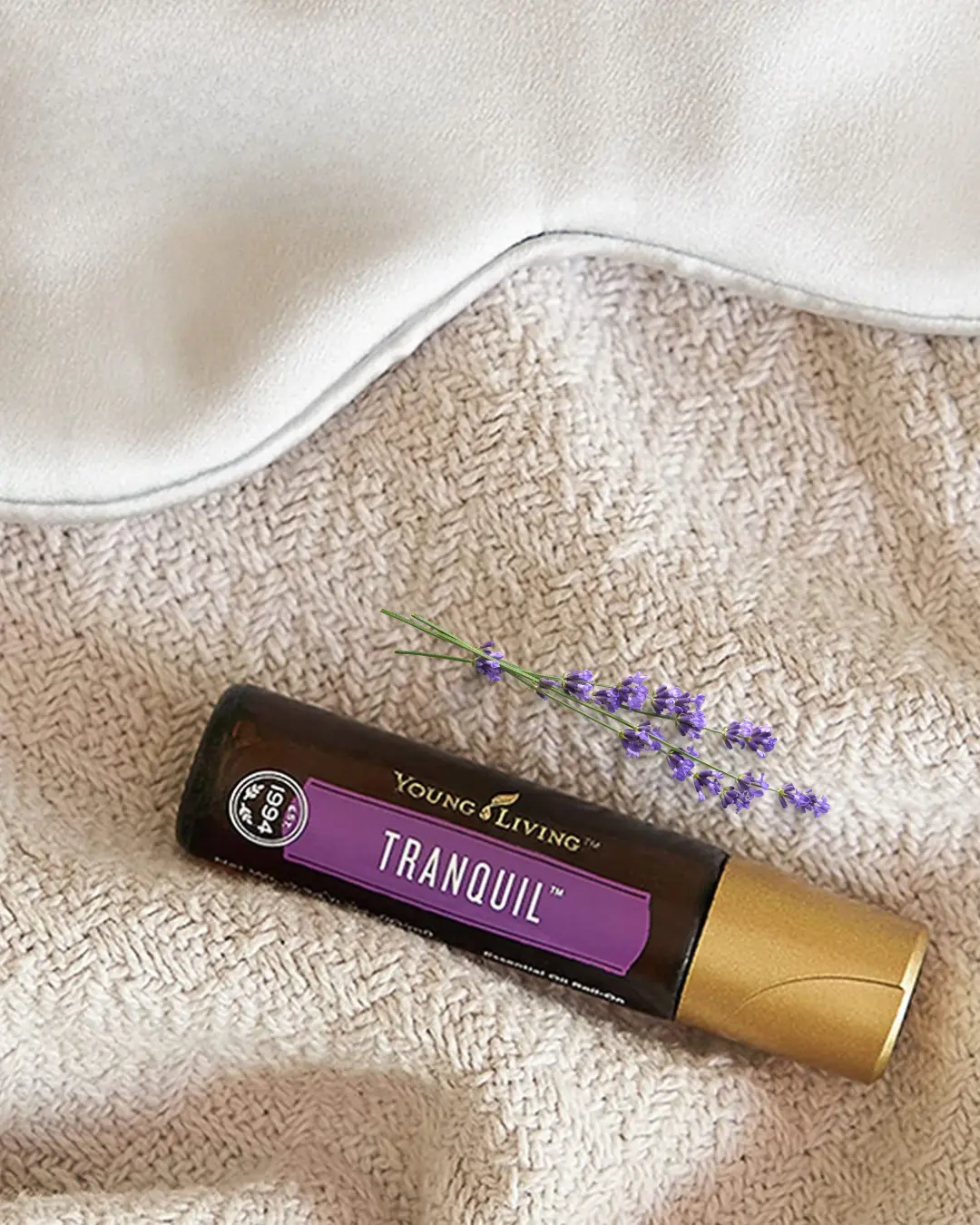 Traumacoach Almere, Paardencoach Hilversum, Huizen, Blaricum, Laren, Eemnes, Almere, Paardencoaching bij stress, Trauma sensitief schrijven, traumaverwerking, paardencoaching Almere, trauma verwerken, stress, rust, overprikkeld brein, terug naar jezelf, overprikkeld zenuwstelsel, inzicht, grenzen stellen, zelfliefde, handreiking, praktische oplossingen, mindfulness, schrijven, praktische tools.