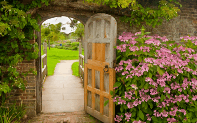 Grenzen zijn geen muren