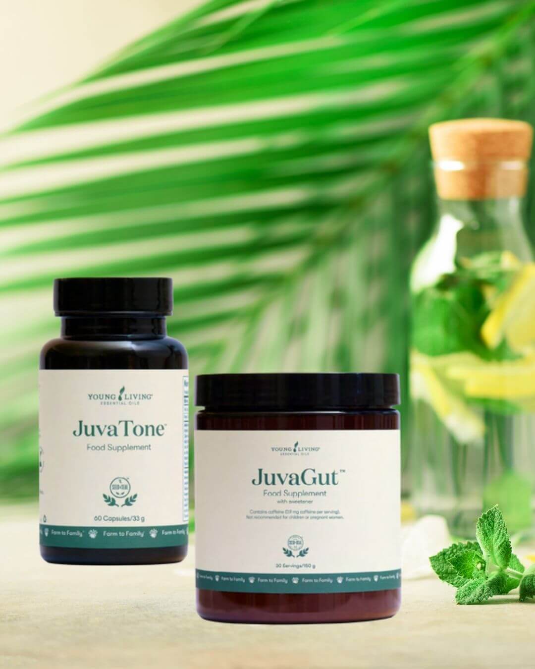 Traumacoach Almere, Paardencoach Hilversum, Huizen, Blaricum, Laren, Eemnes, Almere, Paardencoaching bij stress, Trauma sensitief schrijven, traumaverwerking, paardencoaching Almere, trauma verwerken, stress, rust, overprikkeld brein, terug naar jezelf, overprikkeld zenuwstelsel, inzicht, grenzen stellen, zelfliefde, handreiking, praktische oplossingen, mindfulness, schrijven, praktische tools.