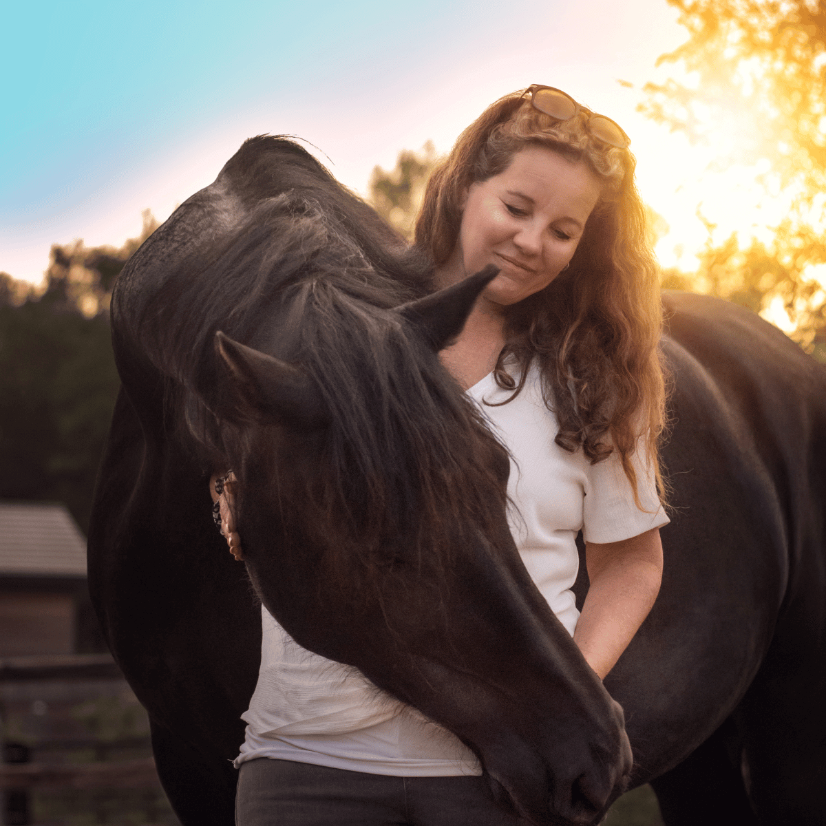 Traumacoach Almere, Paardencoach Hilversum, Huizen, Blaricum, Laren, Eemnes, Almere, Paardencoaching bij stress, Trauma sensitief schrijven, traumaverwerking, paardencoaching Almere, trauma verwerken, stress, rust, overprikkeld brein, terug naar jezelf, overprikkeld zenuwstelsel, inzicht, grenzen stellen, zelfliefde, handreiking, praktische oplossingen, mindfulness, schrijven, praktische tools.